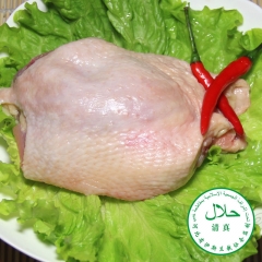 雞腿肉  12公斤/箱