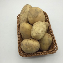 土豆（白心）200g