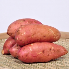 红薯 规格250g以上 1KG