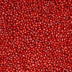 紅小豆 25KG/袋