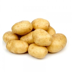 土豆（旱大白）200g以上  1kg