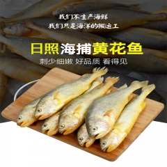 7公斤黄花鱼