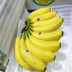 香蕉 1kg