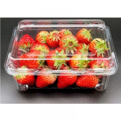 500ml水果餐盒