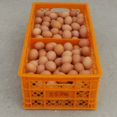 箱鸡蛋