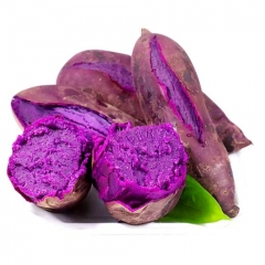 鲜紫薯